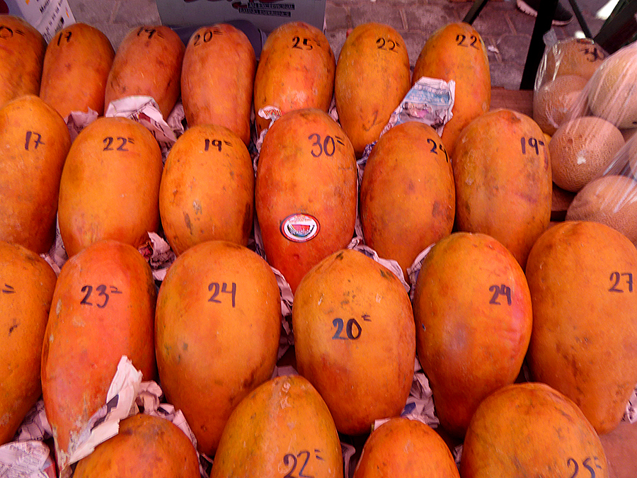 OaxacaThe Year After Tis' the season....