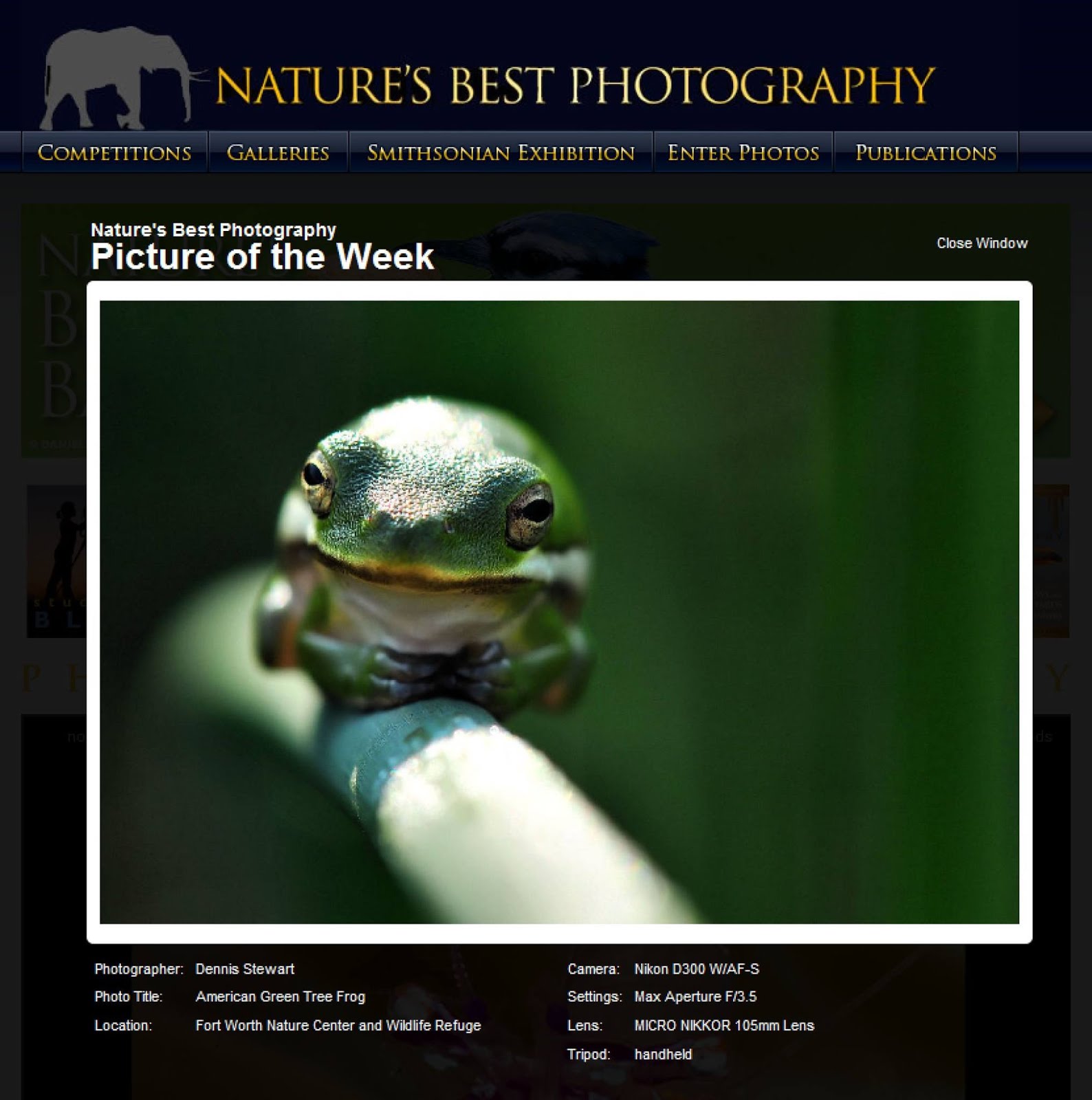 Pic of the Week - Nature' Best