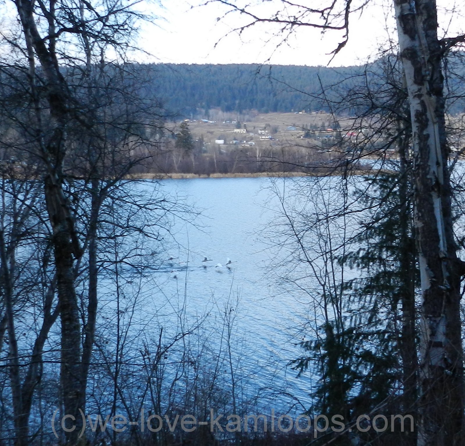 welovekamloops Paul Lake Pinantan Lake Scheidam Flats Kamloops, BC