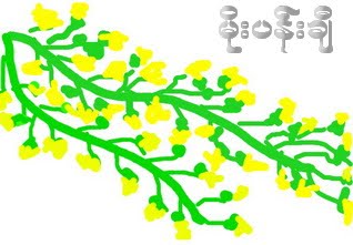 မုိးပန္းခ်ီ