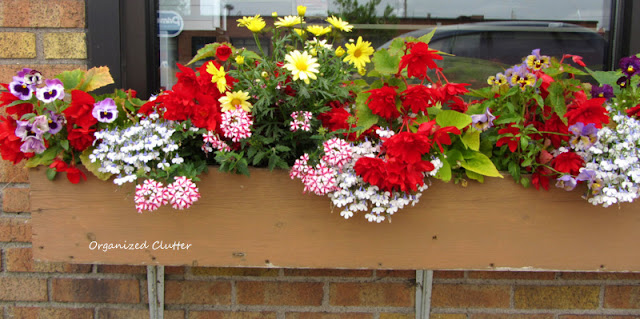 Planting The Prettiest Window Box In Town #containergarden #windowbox #annuals