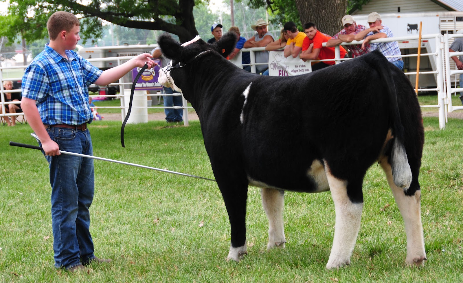 Trausch Farms Beeler Cattle Company, Truro, Iowa