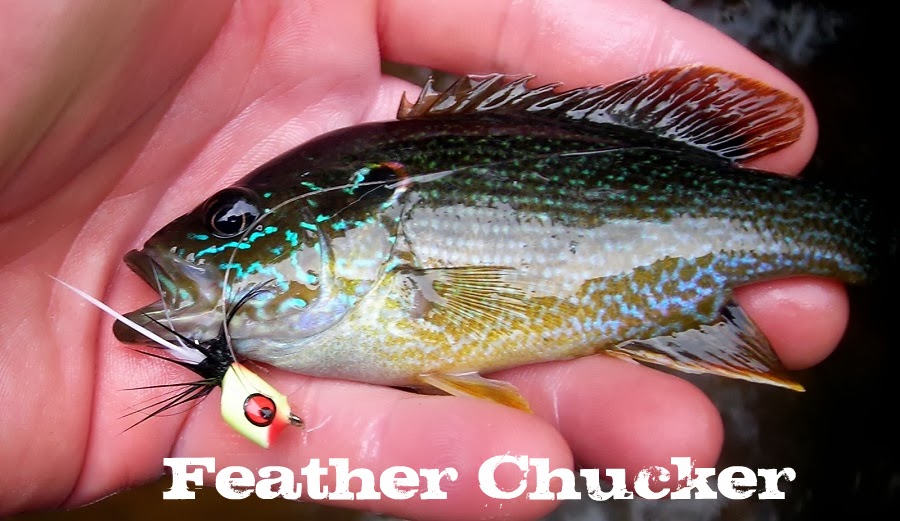Feather Chucker Flies for White Bass
