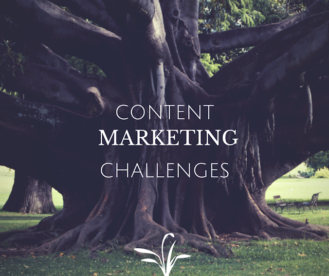 Content Marketing Challenges
