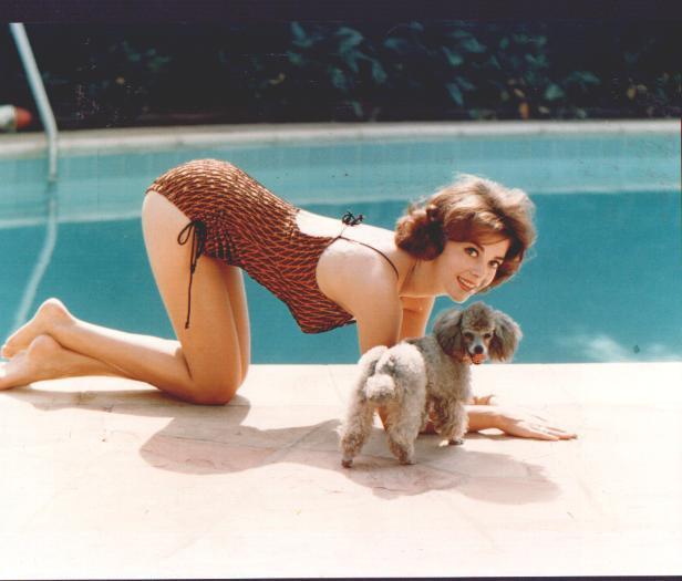 Vintage Photos of Natalie Wood
