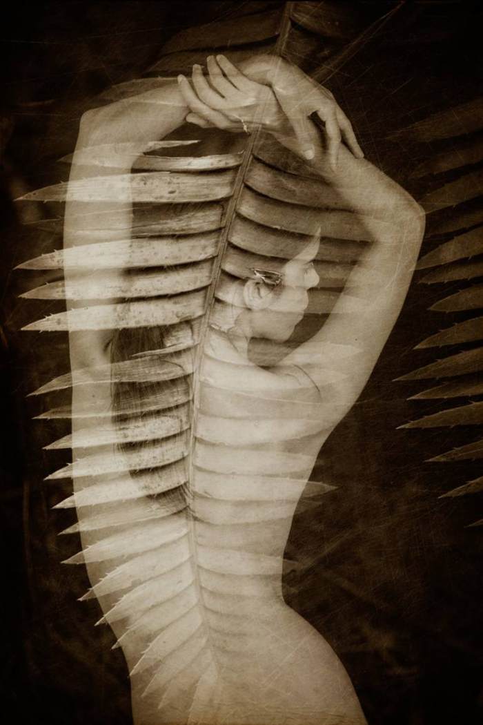 Тихие и проникновенные фотографии. Erika Masterson (фотограф) Тихие и проникновенные фотографии. Erika Masterson (фотограф)
