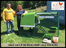 Rent The Chicken: Greater Rochester Area