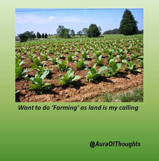 Aura Of Thoughts - Farming