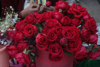 फूलों के फोटो, गुलाब शायरी, फूल गुलाब, कमल के फूल, गुलाब फूल की खेती, गुलाब के फूल के उपयोग, गुलाब फूल वॉलपेपर, फूलों की फोटो