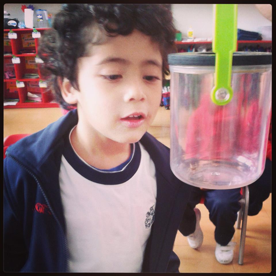Pre Kinder Nightingales Science Living Non living Things Pre Kinder Nightingales Science Living Non living Things