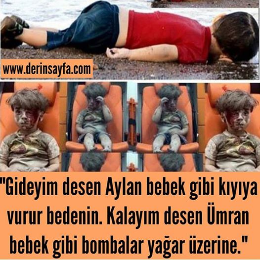 aylan bebek