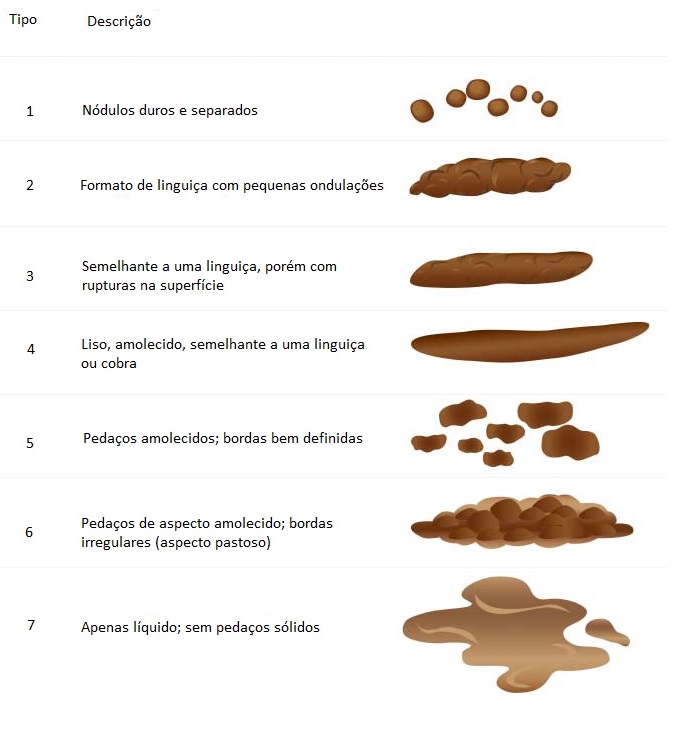 Endoscovet Serviço de Endoscopia Veterinária