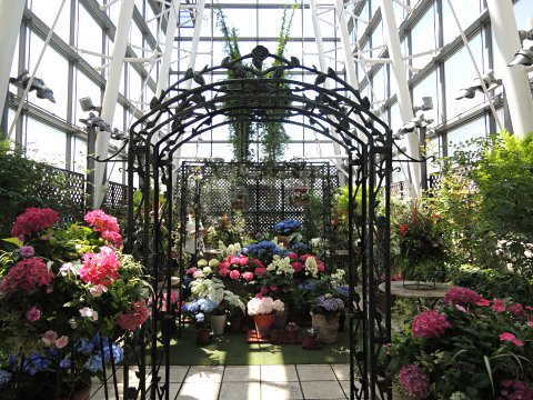 Fun Fun Fine ファンケル銀座スクエア あじさいガーデン 14