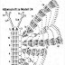 Patrón: Mariposa a crochet delicadísima / Crochet Pattern: Beautiful Butterfly