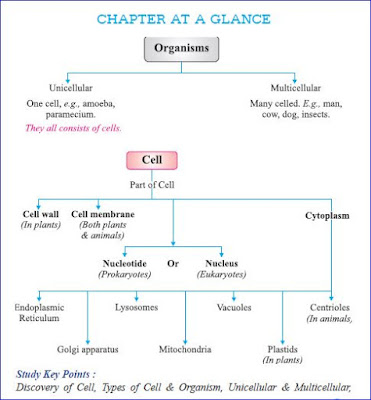 CHAPTER AT A GLANCE