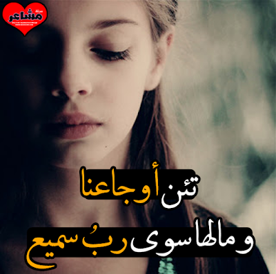 17309434_19480752620