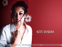 aditi sharma, wallpaper, oomph, indian actress, hot, white outfit, tablet backgrounds