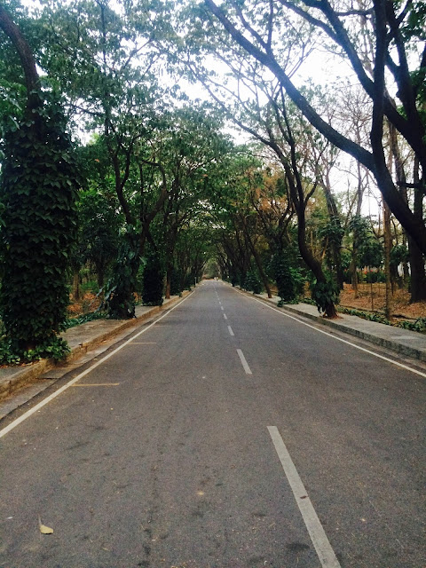 Visit Bangalore IIMB