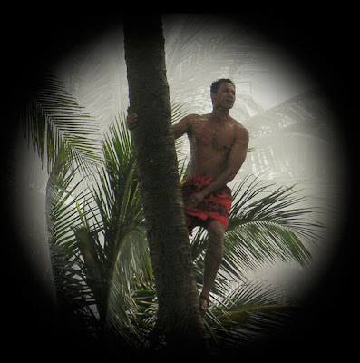 vignette around native climbing a palm tree in Hawaii