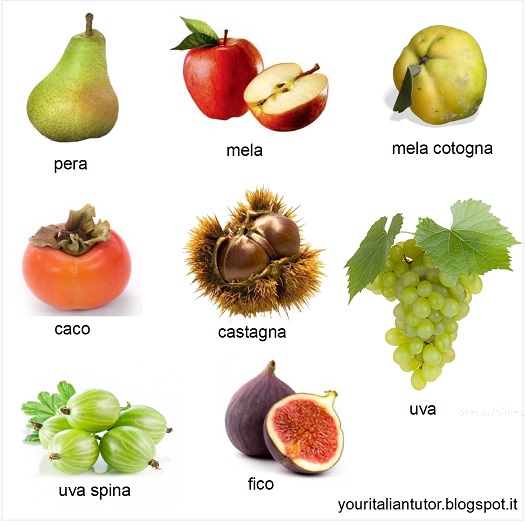 Your Italian Tutor Italian vocabulary La frutta / Fruit