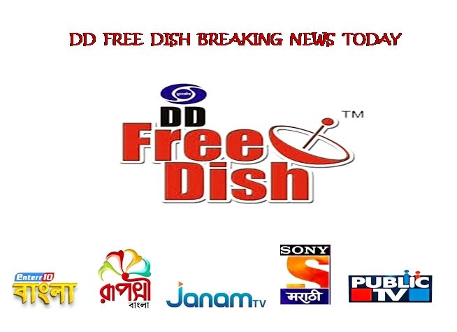 Dd Free Dish New Channel List 2024 Dd Free Dish Ipl Available