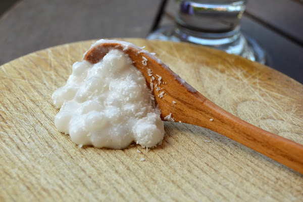 Perlas de tapioca con leche de coco (Vegano, Sin azúcar, y Sin gluten) |  Cocina