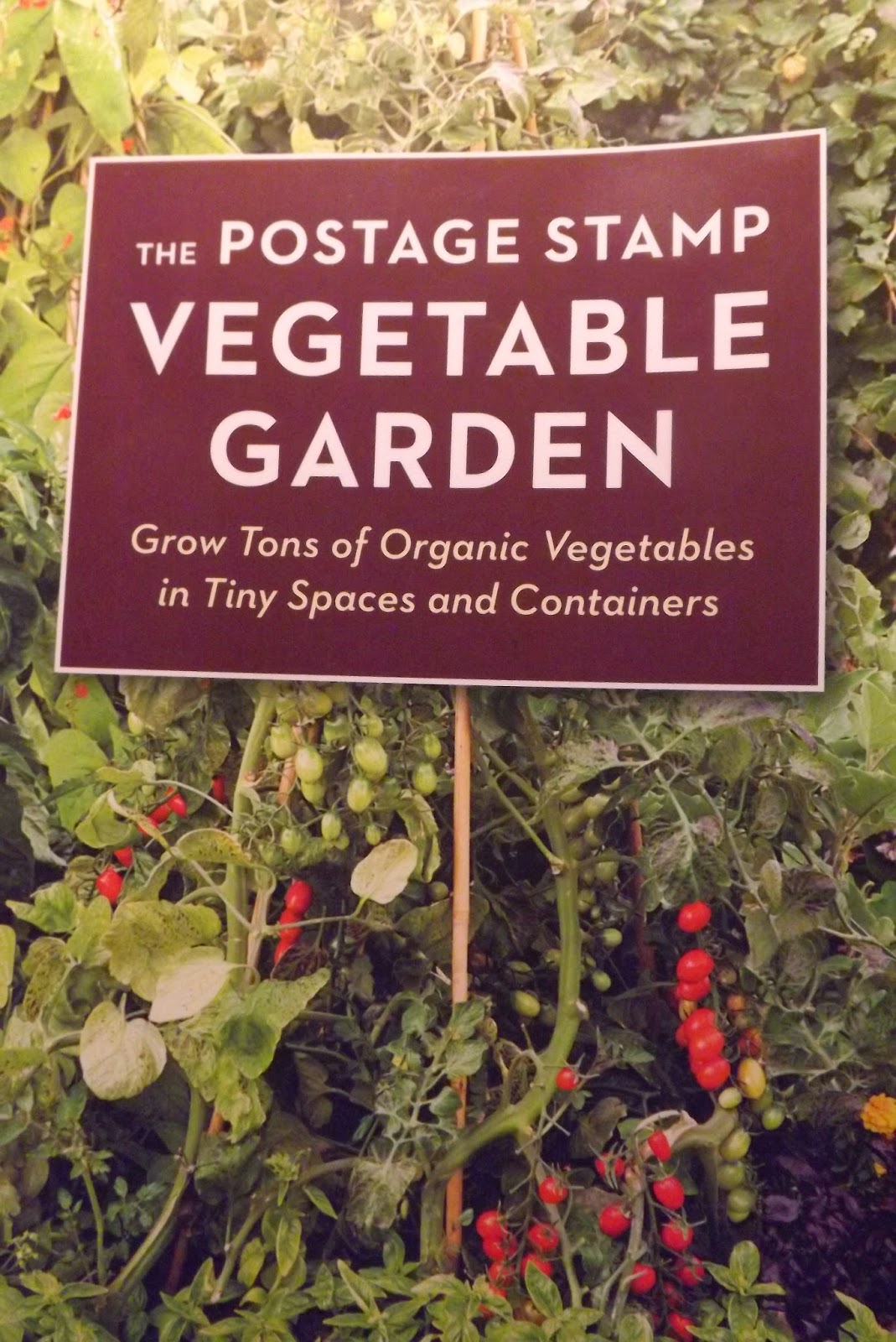 Writing a Better Story The Postage Stamp Vegetable Garden by Karen