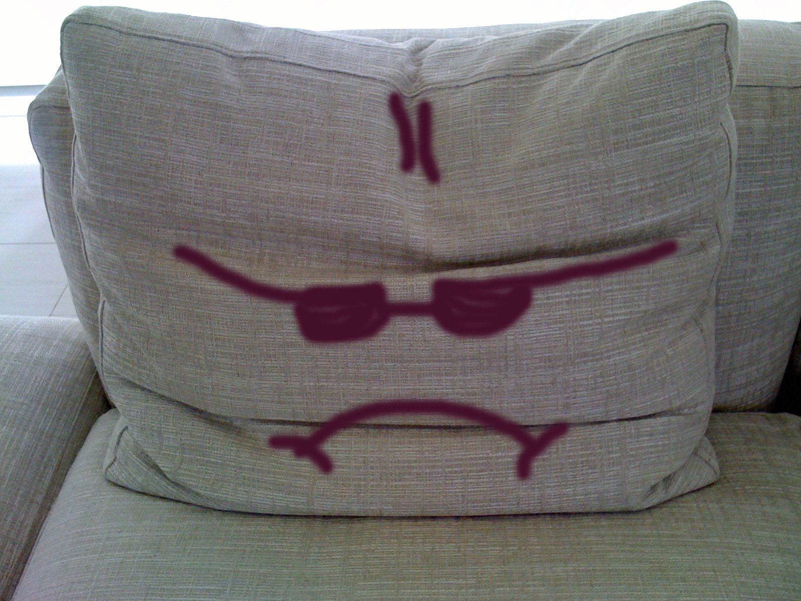 HomeAct Fluffing Couch Cushions