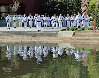 Adults doing martial arts patterns near a pond