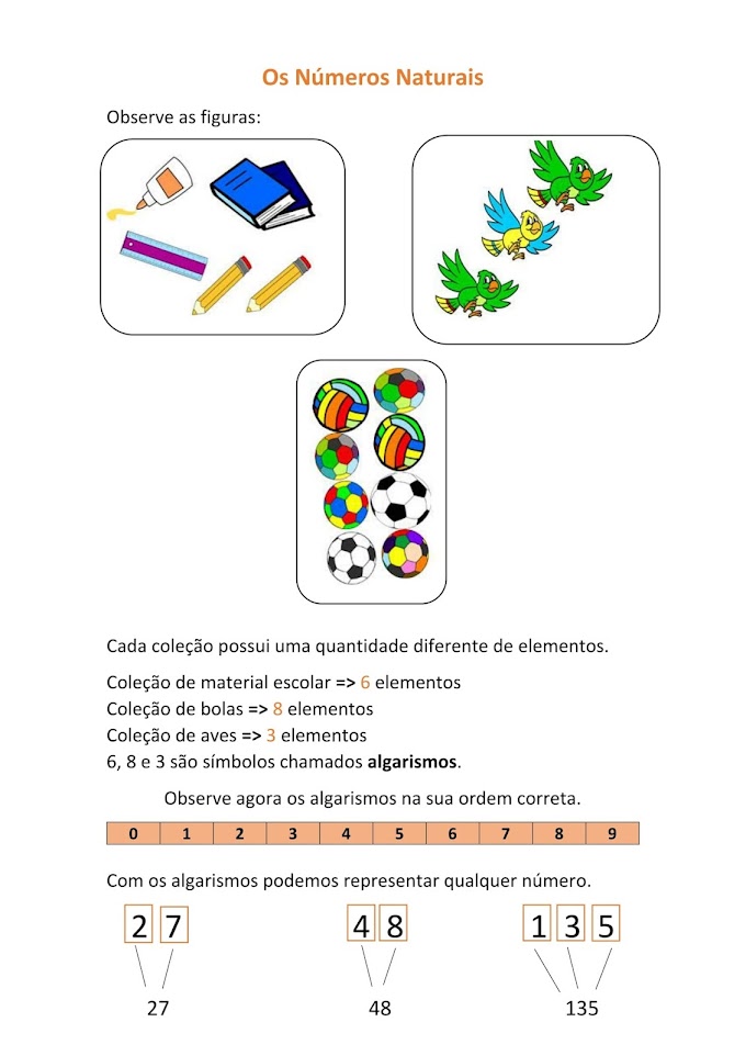 viver de educar