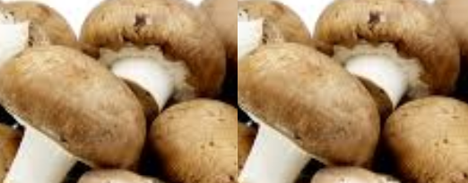 Mushroom meaning in hindi, Spanish, tamil, telugu, malayalam, urdu, kannada name, gujarati, in marathi, indian name, marathi, tamil, english, other names called as, translation