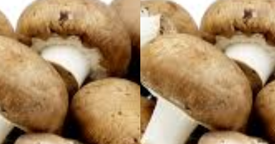 [41+] Recipe Meaning Of Malayalam