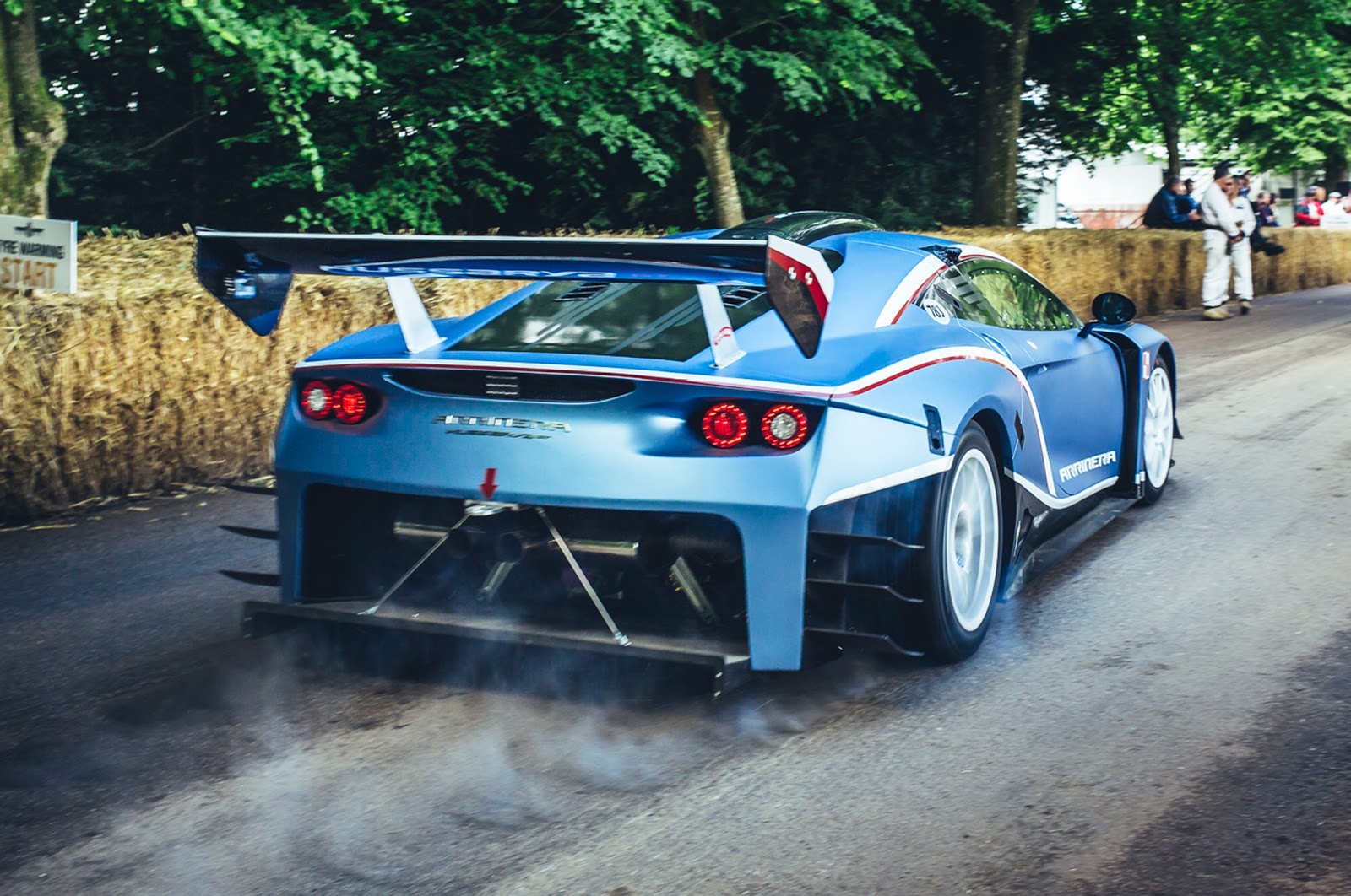 Arrinera Hussarya С„РѕС‚Рѕ