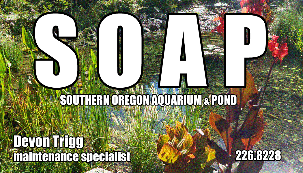 Grants Pass Oregon Aquarium & Pond Southern Oregon Aquarium & Pond