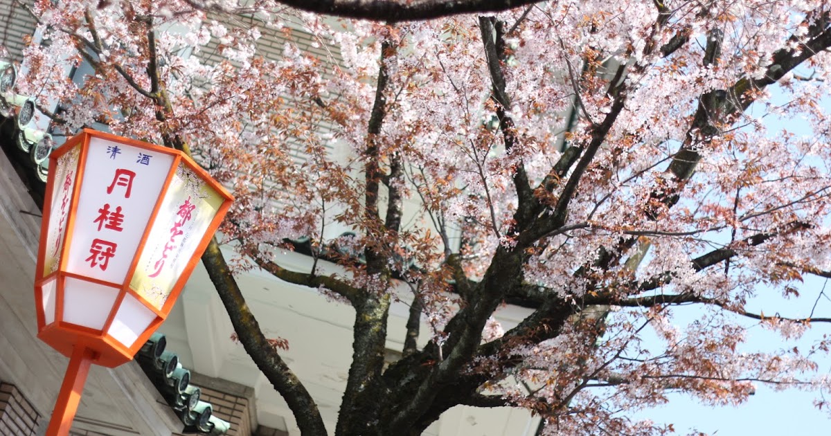 コスプレ衣装 桜の恋 コスプレ コミケ ネタ
