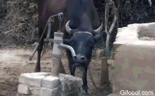 1473812627034.GIF
