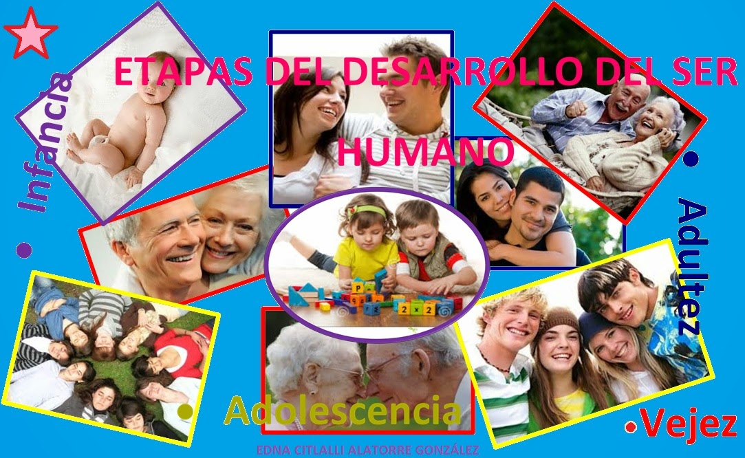 Collage De Las Etapas Del Ser Humano