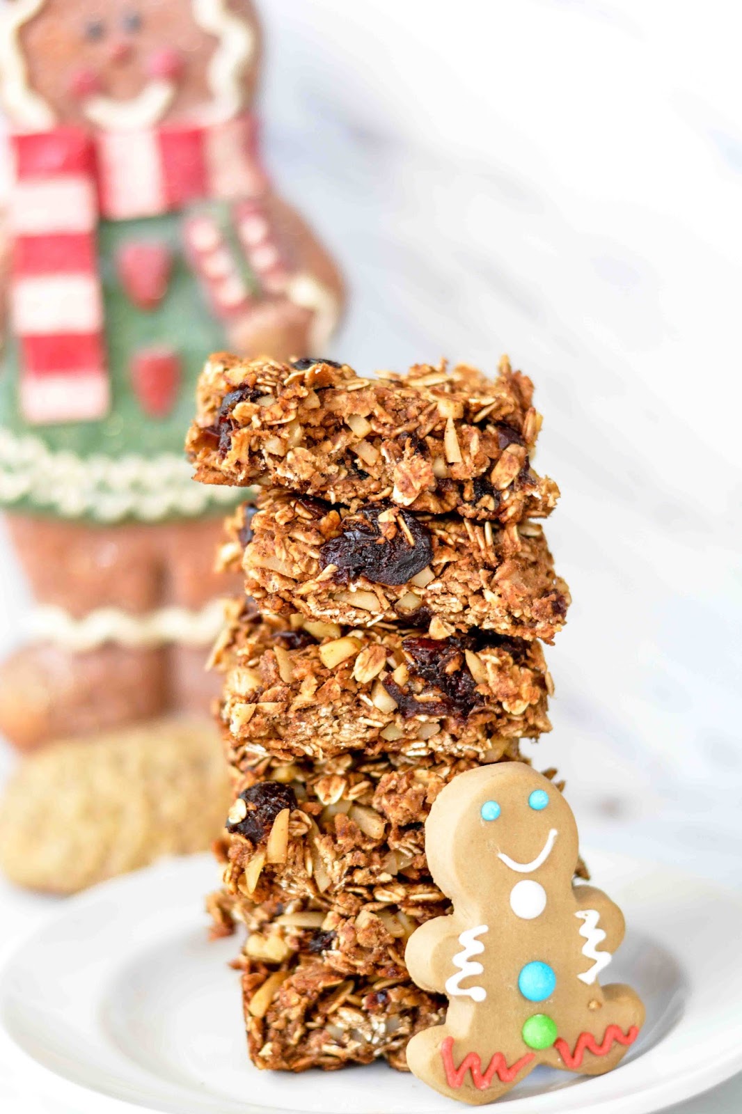 Theresa's Mixed Nuts Snack Smart with Gingerbread Granola Bars