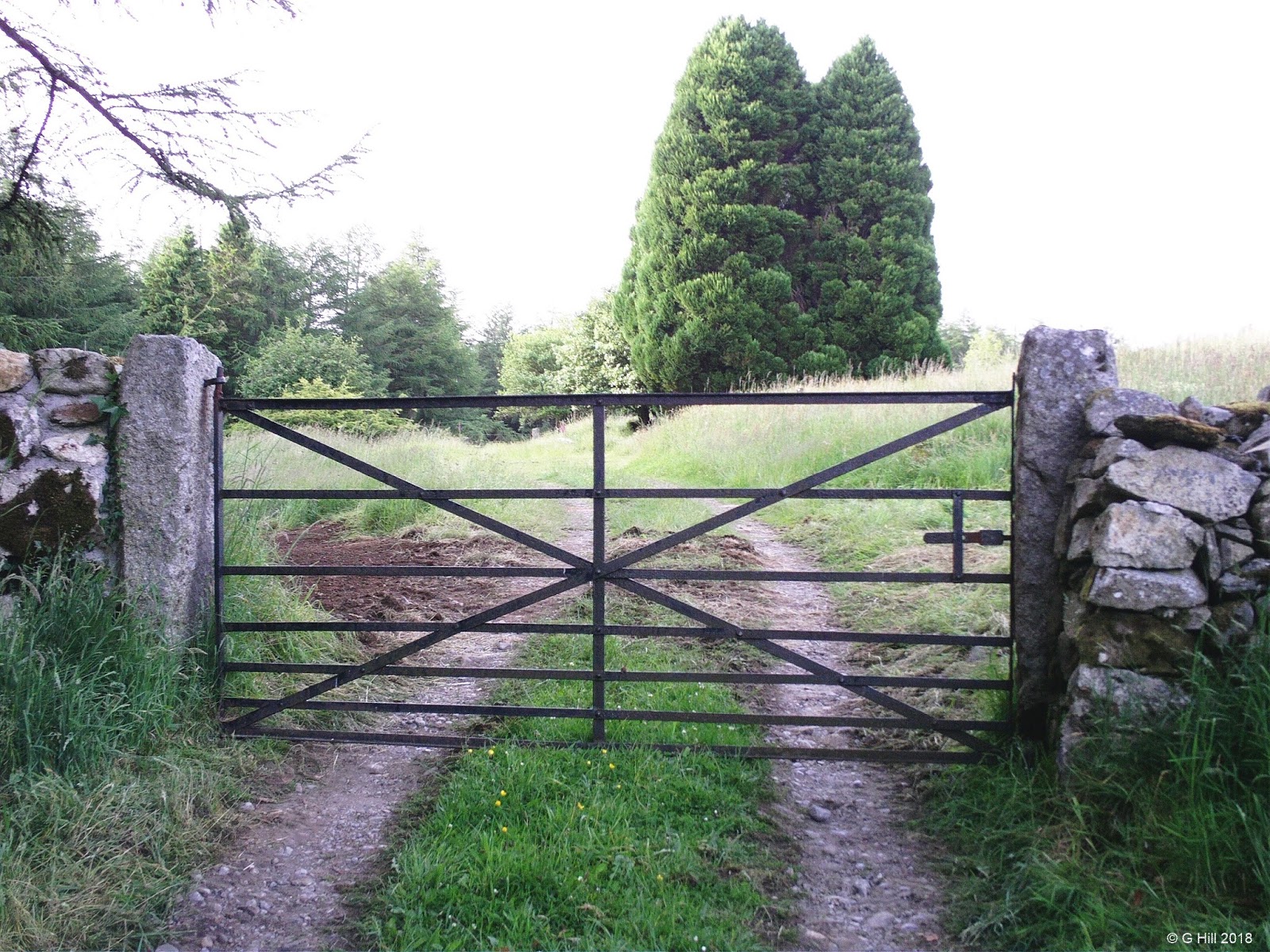 Ireland In Ruins The Gates Of Heaven Co Wicklow
