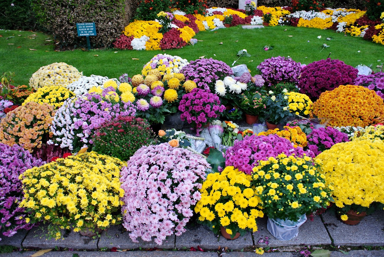Jardin Du Souvenir Pere Lachaise Jardin Du Souvenir Cimetiere Pere Lachaise Paris Jardin Du Jardin Du Souvenir Pere Lachaise Jardin Du Souvenir Cimetiere Pere Lachaise Paris Jardin Du