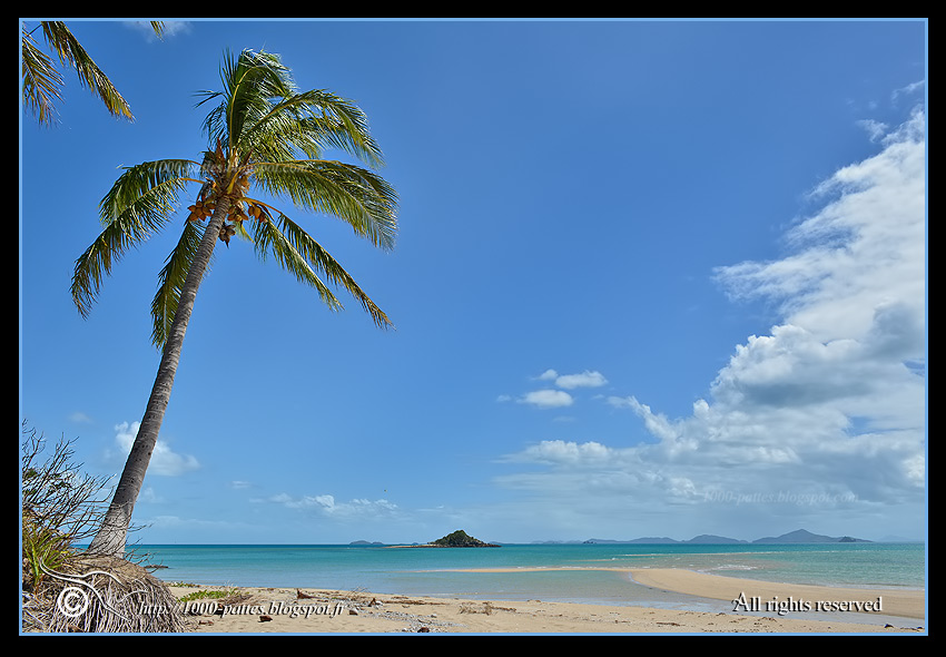 Brampton island, Australia - http://1000-pattes.blogspot.com/