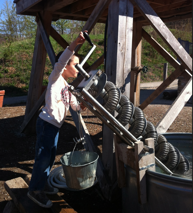 The Children's Garden Evergreen Brick Works Toronto Teacher Mom