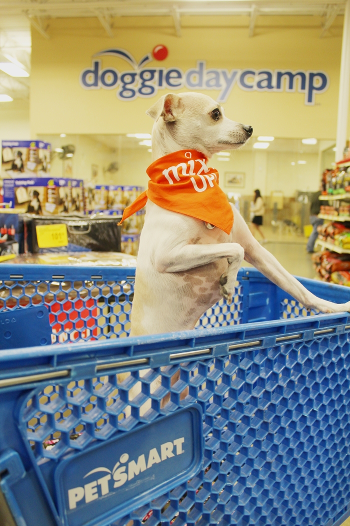 HAPPYHAZEL Let's MixItUp ! Instinct Raw Boost Mixers Review!