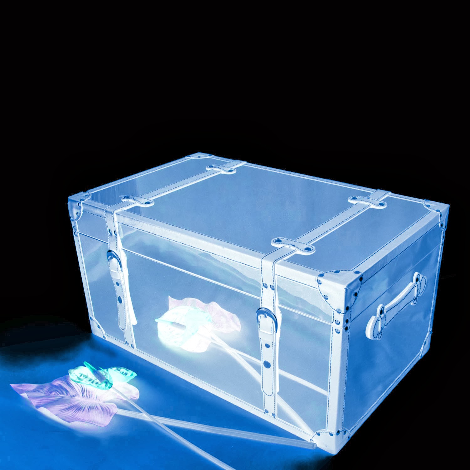 ATARAXIA El baúl de los recuerdos