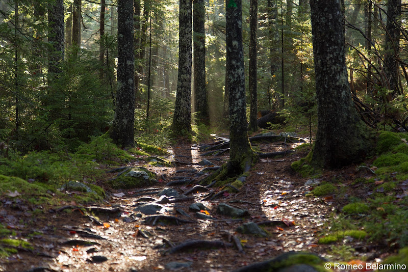 Borestone Mountain Base Trail Maine Hiking Moosehead Pinnacle Pursuit