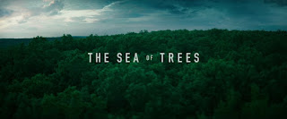 the sea of trees