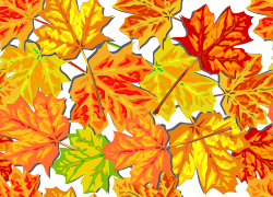 fall leaves clipart autumn background backgrounds clip leaf graphics vector ground colorful seasonal season starch cliparts trees transparent clipground header