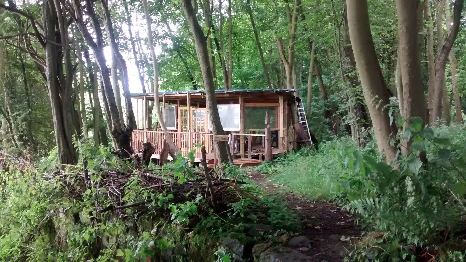 camping fife near edinburgh