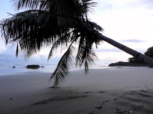 Cucodesafío2012: El Nuevo Mundo: DÍA 12: LA IGLESIA ALBINA Y EL