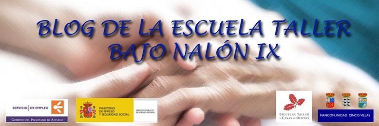ESCUELA TALLER BAJO NALÓN IX